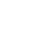 Svnth Palm 